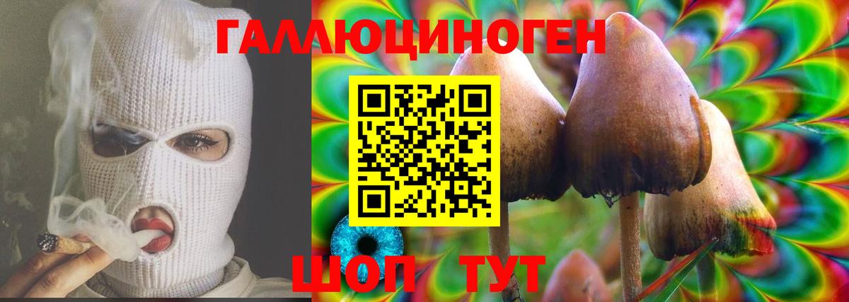 магазин продажи   Галлюциногенные грибы GOLDEN TEACHER  Вход с VPN  Галлюциногенные грибы мицелий  Всеволожск 